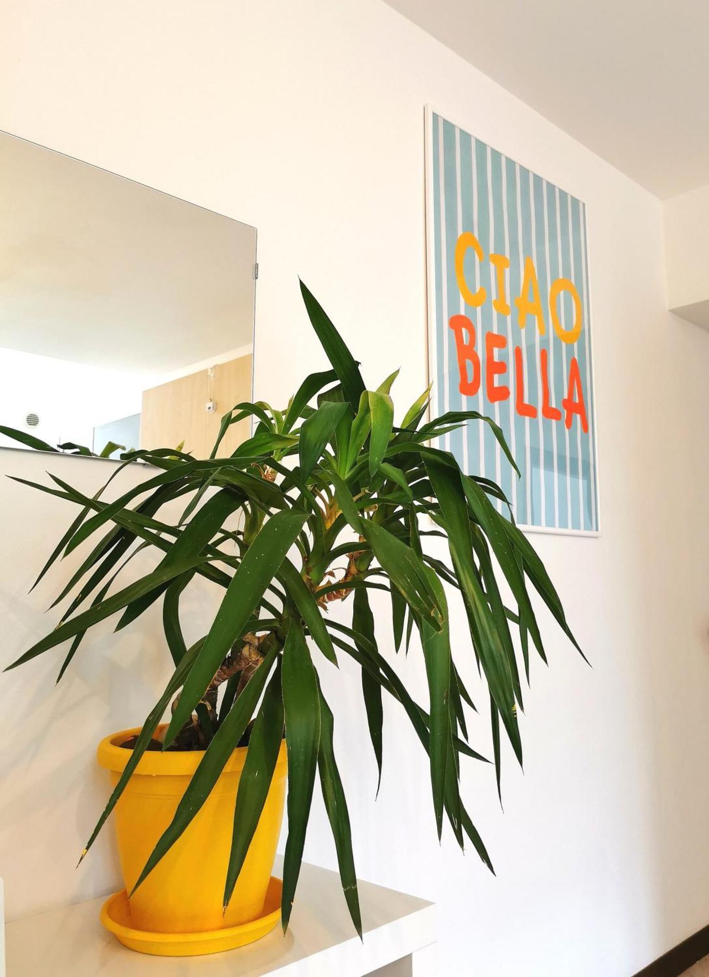 Old Town Apartment With Terrace - Live Love Lake Peschiera del Garda Zewnętrze zdjęcie